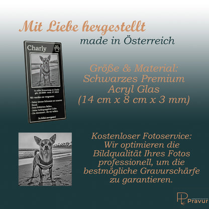 Größenübersicht des Hunde-Andenkens und Infos zur kostenlosen professionellen Bildbearbeitung.