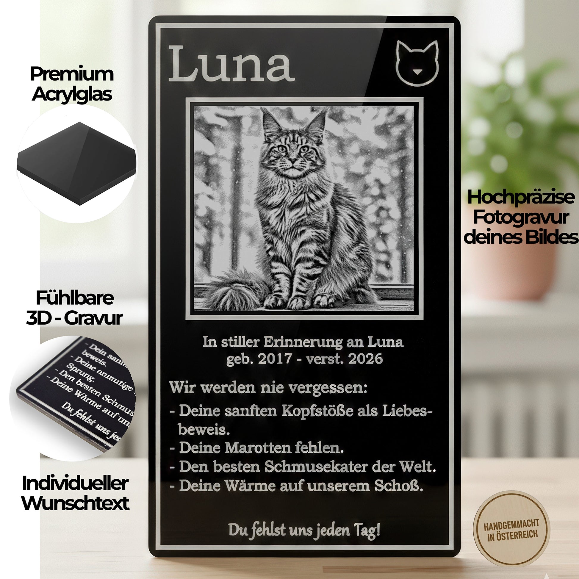 Nahaufnahme der detailreichen Katzen-Fotogravur auf schwarzem Acryl – jedes Härchen ist sichtbar.