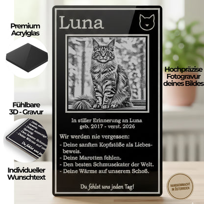 Nahaufnahme der detailreichen Katzen-Fotogravur auf schwarzem Acryl – jedes Härchen ist sichtbar.