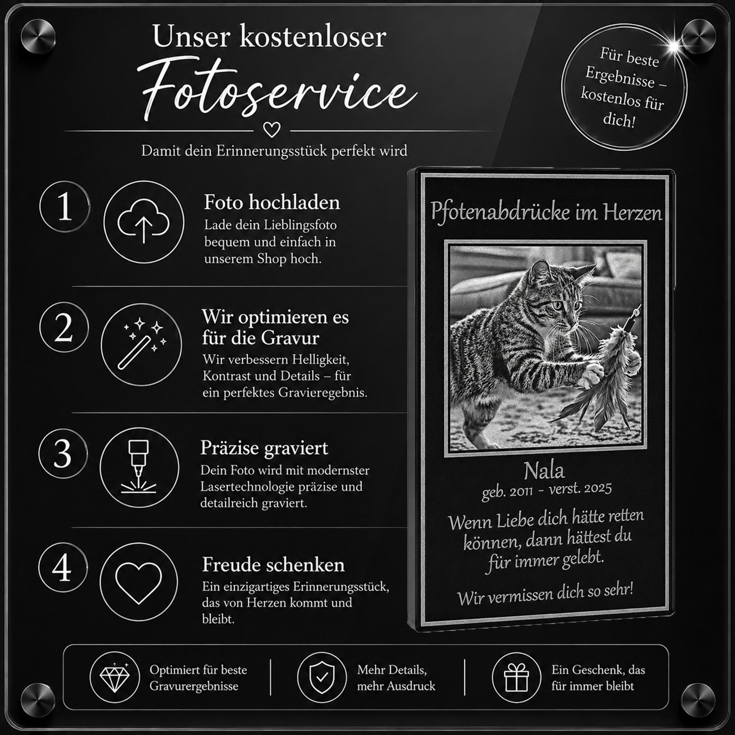 Professioneller Grafikservice für das optimale Freistellen und Bearbeiten deines Katzenfotos vor der Lasergravur.