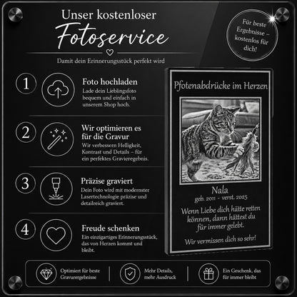 Professioneller Grafikservice für das optimale Freistellen und Bearbeiten deines Katzenfotos vor der Lasergravur.